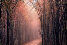 IM体育动画直播通道-关于马赛完胜马德里竞技，戈麦斯点燃赛场的信息