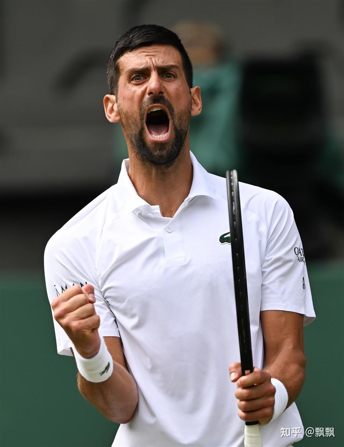 IM体育官方平台-拉沃尔杯险胜温网,德约科维奇扛起全队的简单介绍