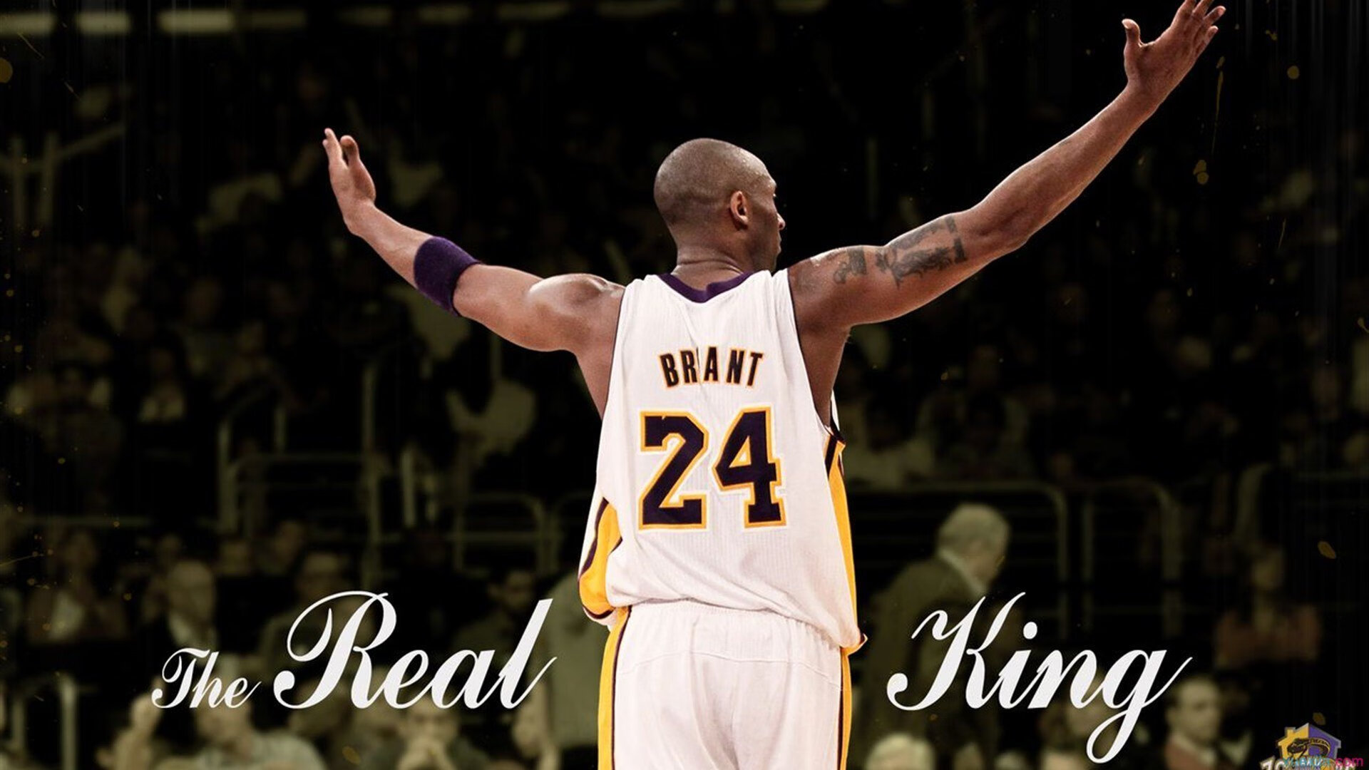 IM体育官网-西决生死战之夜，奥斯梅恩全场最佳无争议